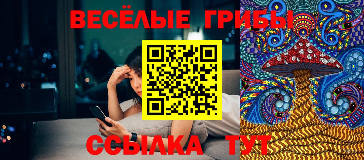 Галлюциногенные грибы MAGIC MUSHROOMS  Вход с VPN  Донской 